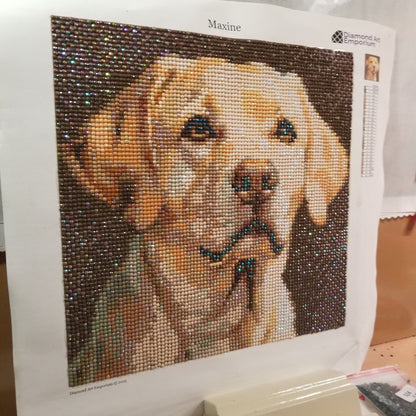 Maxine as Best in Show, Smaller format kit 25x25cm, US made, ships  in 2-5 days