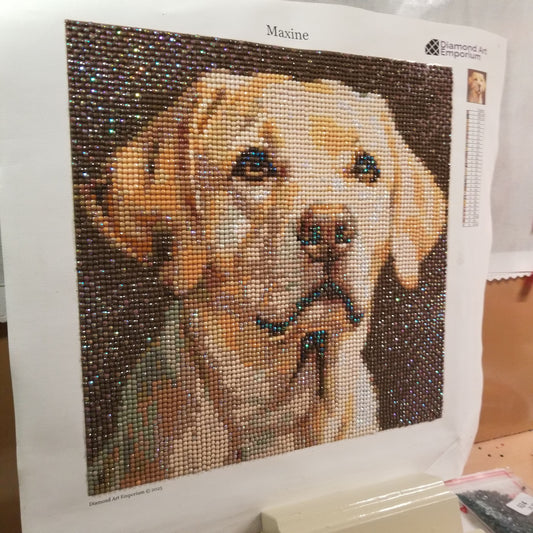 Maxine as Best in Show, Smaller format kit 25x25cm, US made, ships  in 2-5 days