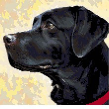 Dasher as Best in Show,  US made, ships  in 2-5 days
