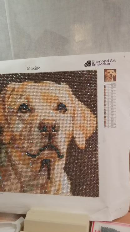 Maxine as Best in Show, Smaller format kit 25x25cm, US made, ships  in 2-5 days
