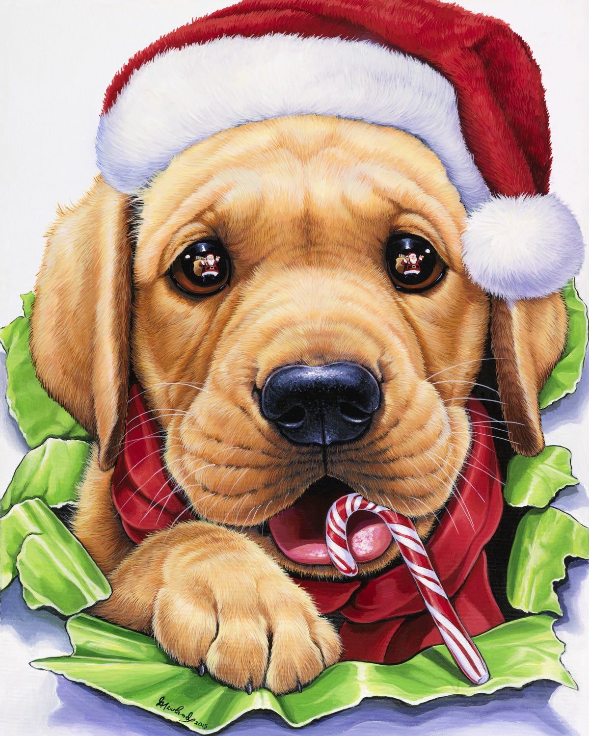 Santa?, Large Format Premium Diamond Painting Kit, Choose Resin Square or Acrylic Round Diamonds