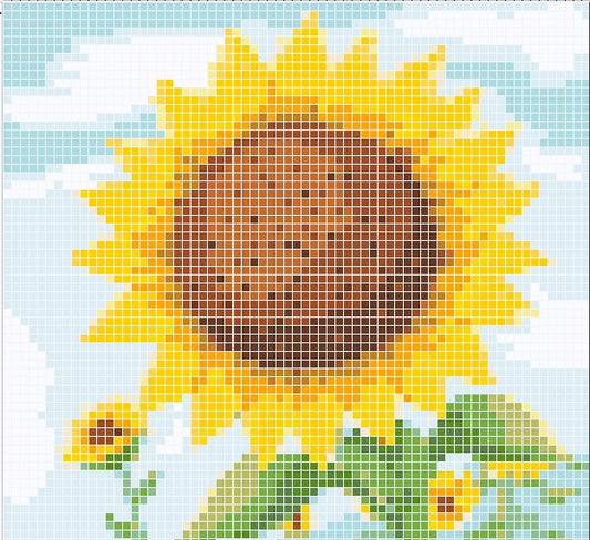 Sunflower, SNAX Kits in a Box, Made in the US, 2 Kits per Box, 1 great price